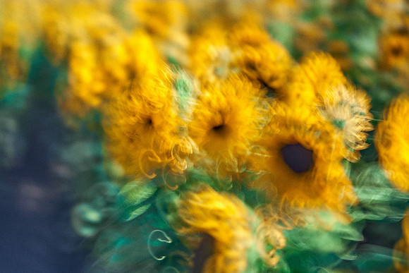 01_09036