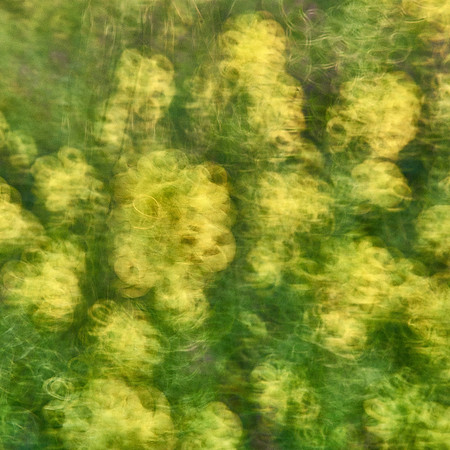 01_06870