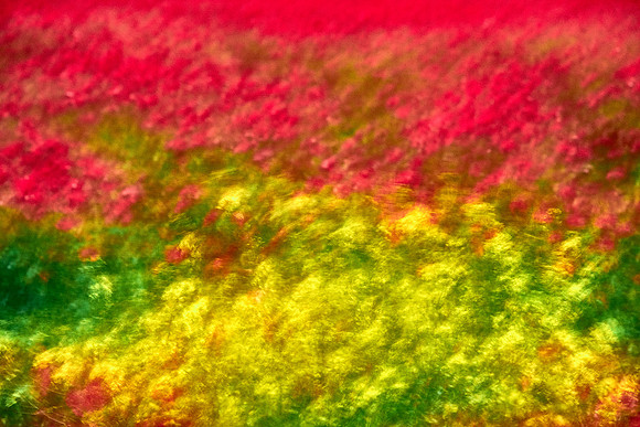 S1_07727