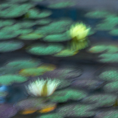01_09443_1 copy