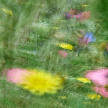 01_08524