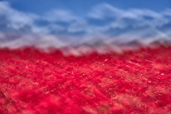S1_07698