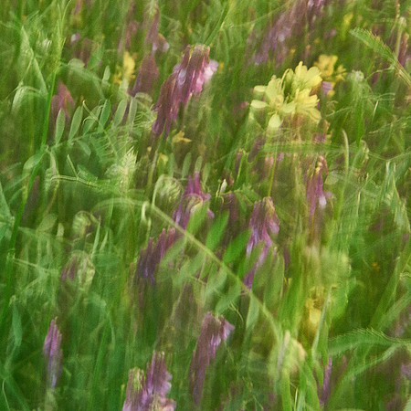 01_06852