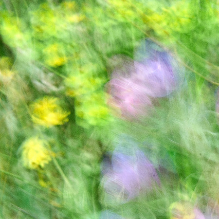 01_08391