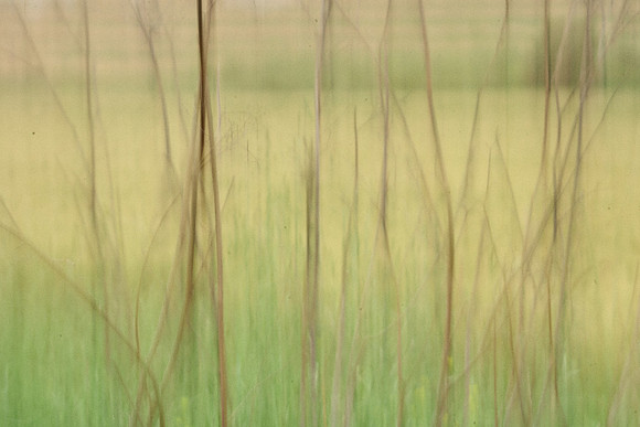 01_07519