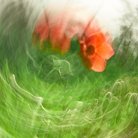 01_06325