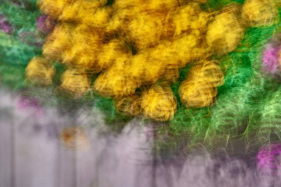 S1_04549