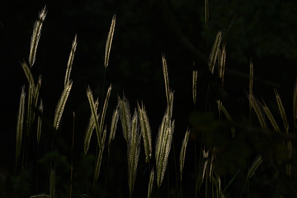 01_07430
