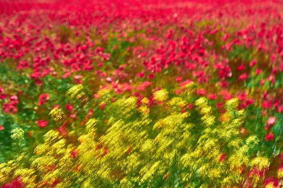 S1_07719