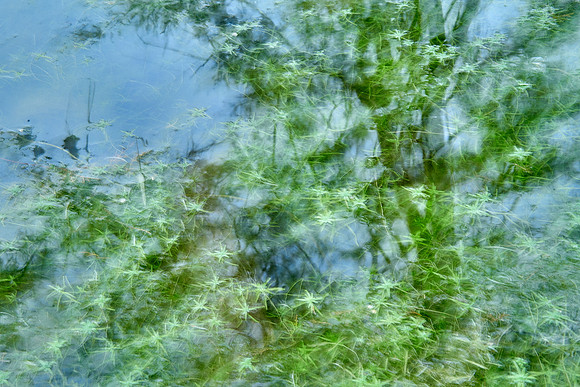 01_08818