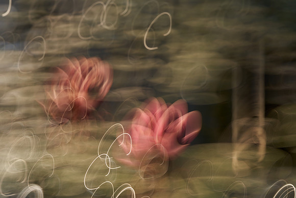 01_00159