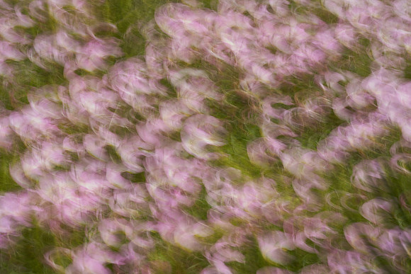 01_02908