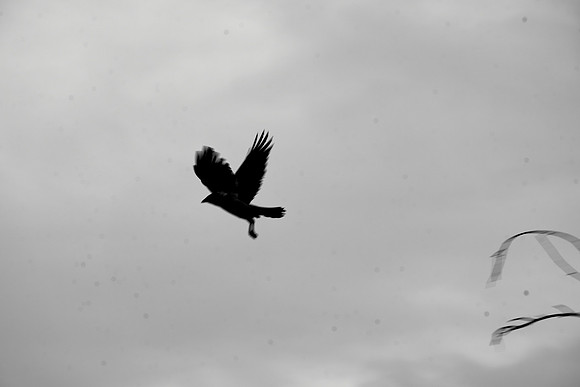 S1_05880