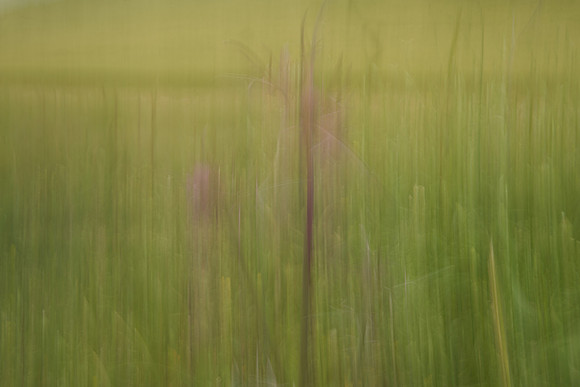 01_07928