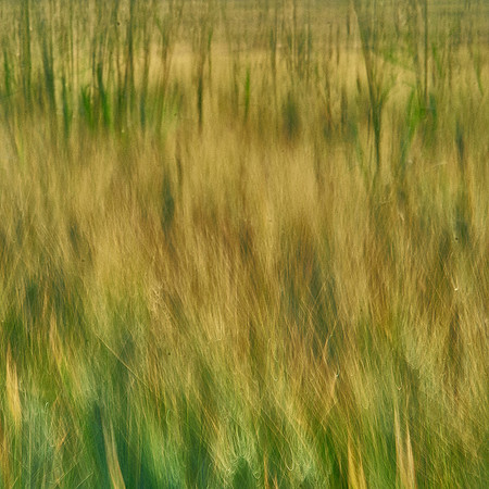 01_07051