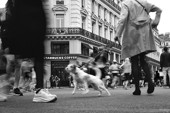 Marathon_De_Paris_Senya_Alman