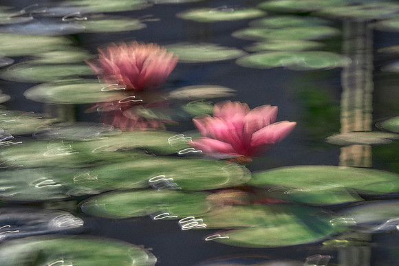 2023_04_14_117