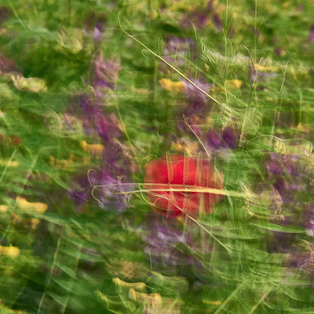 01_06809