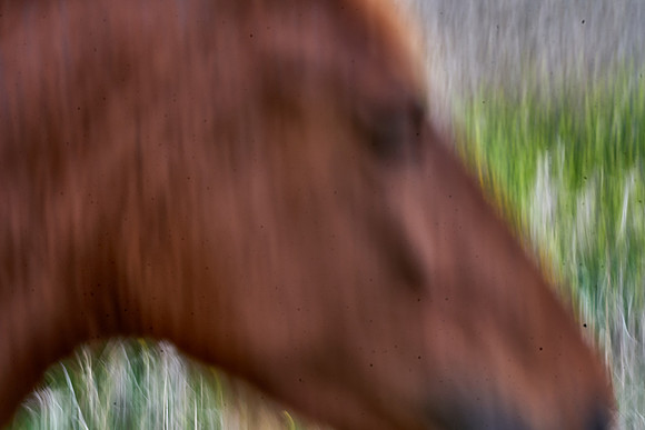 S1_05424