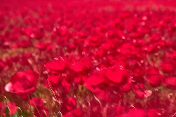 S1_07712
