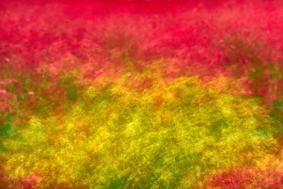 S1_07718