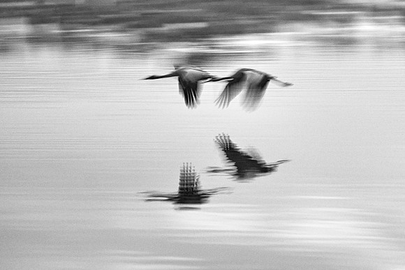 S2_00382 BW