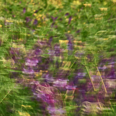 01_06809_1
