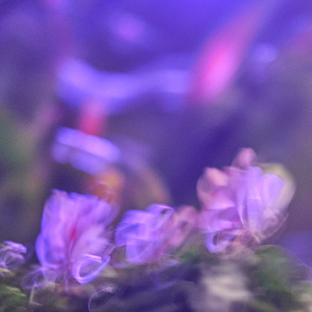 S1_05206