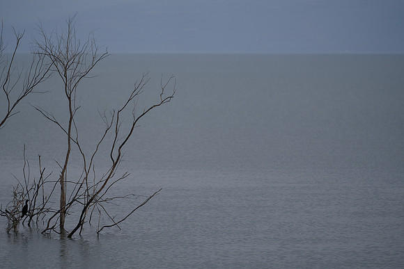 S1_05816
