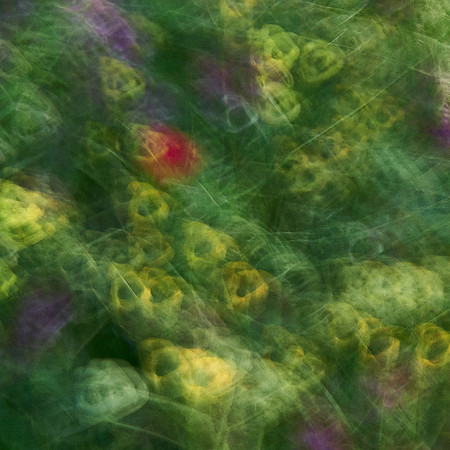 01_06704