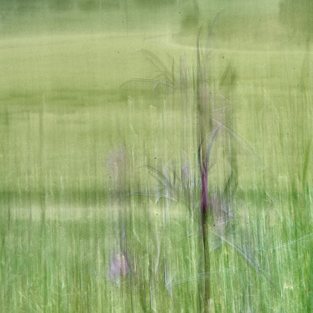 01_07915_1