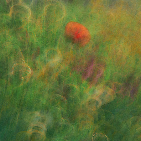 01_07008_1