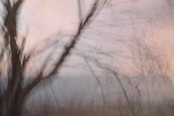 S1_04265_1