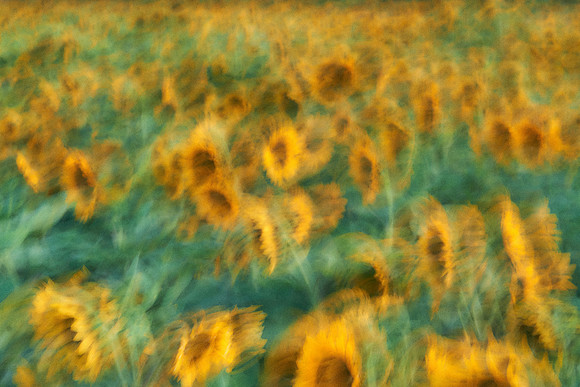 S1_00417