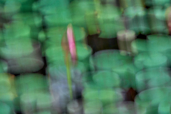 01_00616