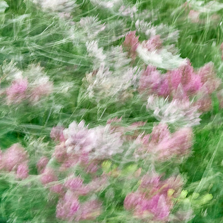 S1_07683