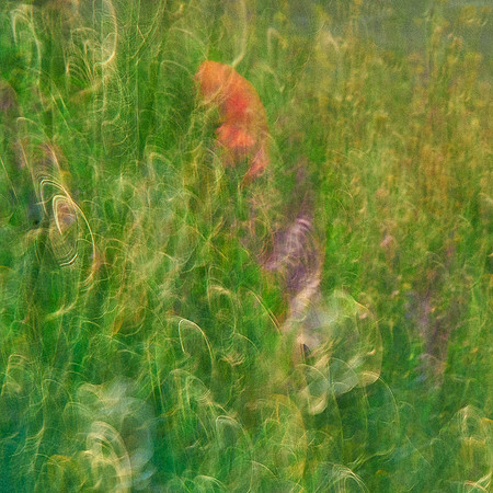 01_07027
