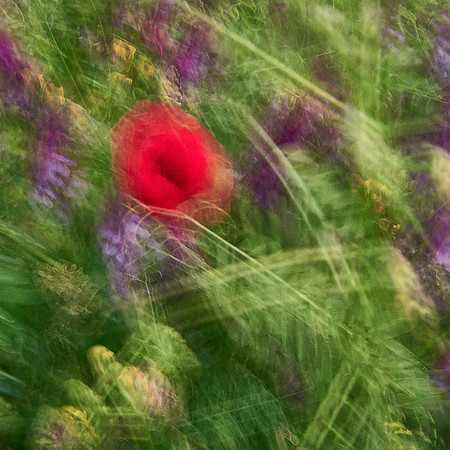 01_06751