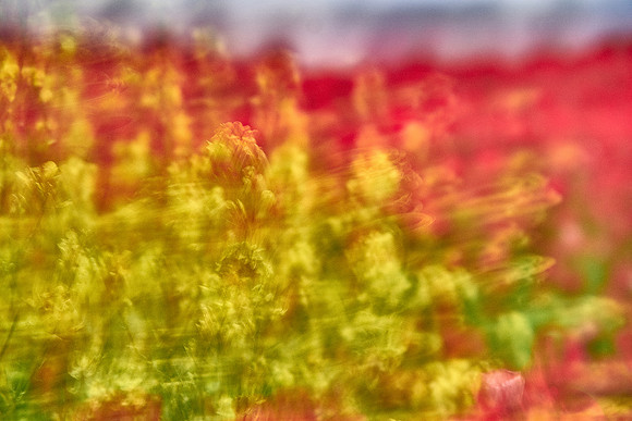 S1_07595