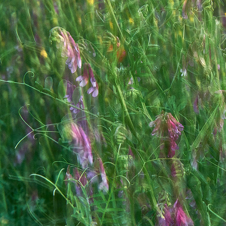 01_06649_1
