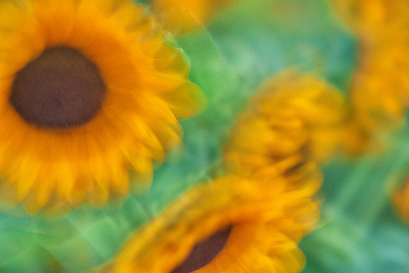 S1_01432