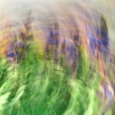 01_05950