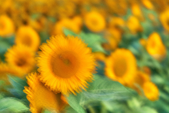 S1_02149