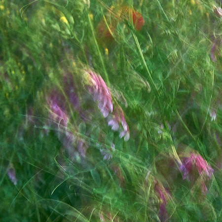 01_06641_1