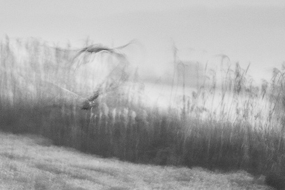 S2_02362