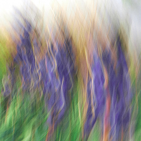 01_05972_1