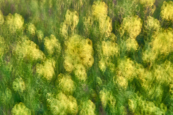01_06874