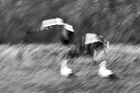 S1_04140_2