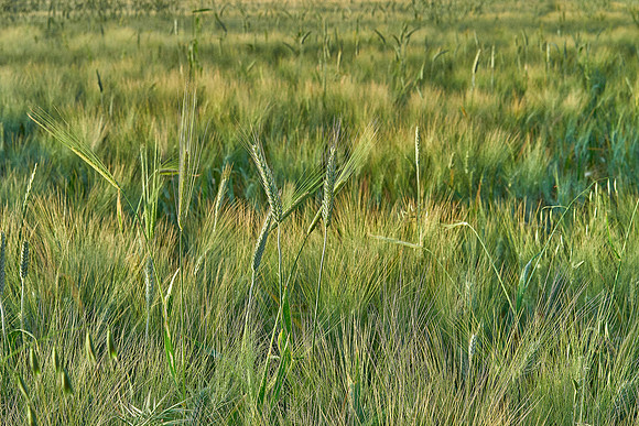 01_07134