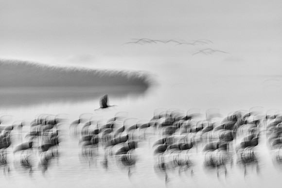 S2_00843_1